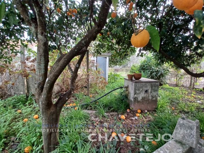 Image No.15-Maison de 3 chambres à vendre à Tomar