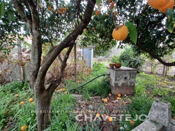 idcd377801-0000-0500-0000-000012900174