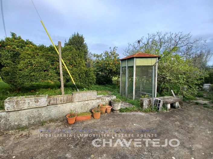 Image No.6-Maison de 3 chambres à vendre à Tomar