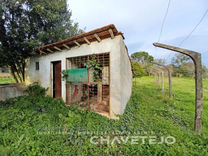 Image No.7-Maison de 3 chambres à vendre à Tomar