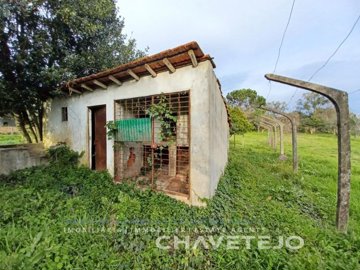 idcd377801-0000-0500-0000-000012900165