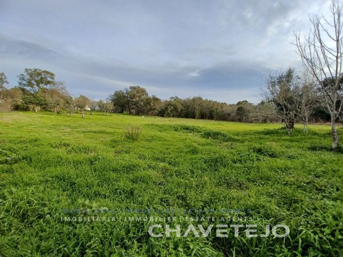 Image No.9-Maison de 3 chambres à vendre à Tomar