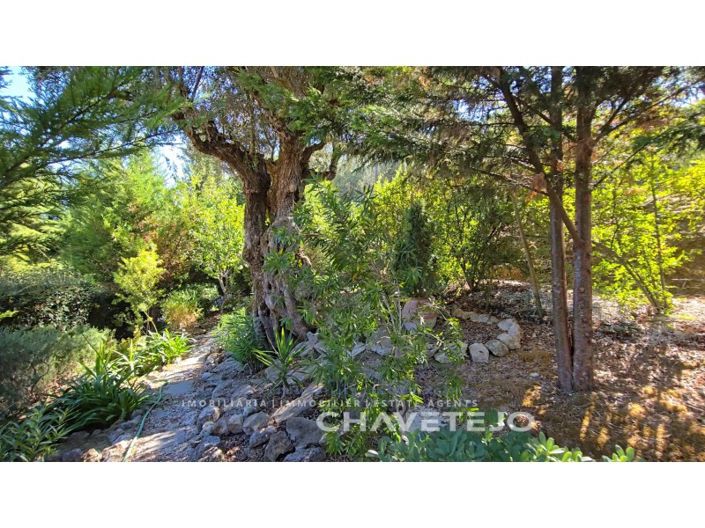 Image No.46-2 Bed House for sale