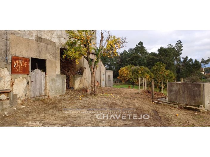 Image No.22-Maison de 4 chambres à vendre à Sertã