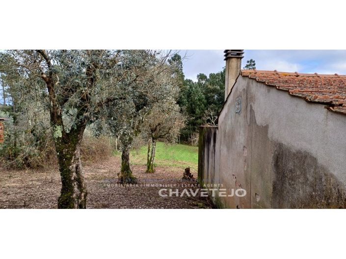 Image No.23-Maison de 4 chambres à vendre à Sertã