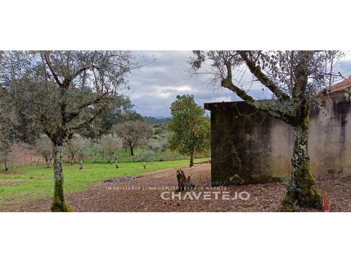 Image No.27-Maison de 4 chambres à vendre à Sertã