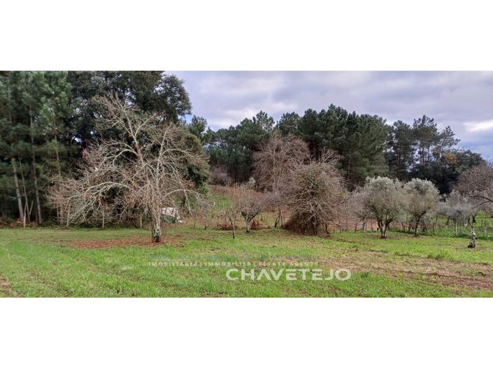Image No.29-Maison de 4 chambres à vendre à Sertã