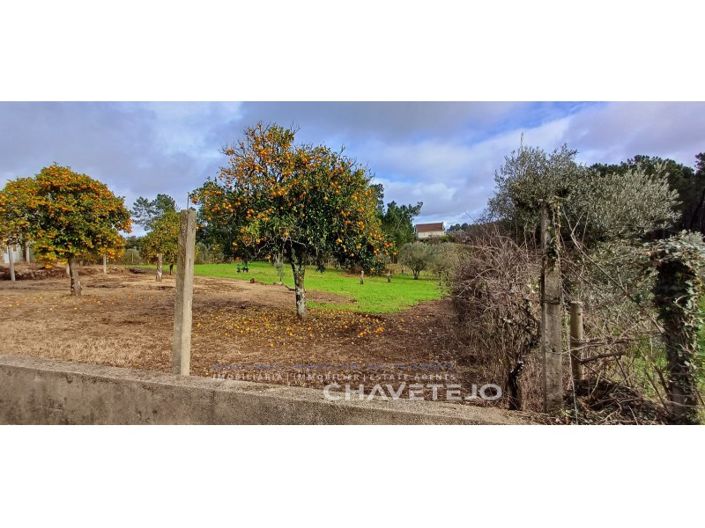 Image No.35-Maison de 4 chambres à vendre à Sertã