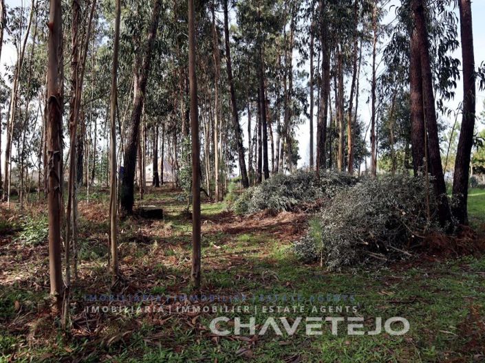 Image No.25-Maison de 5 chambres à vendre à Tabua