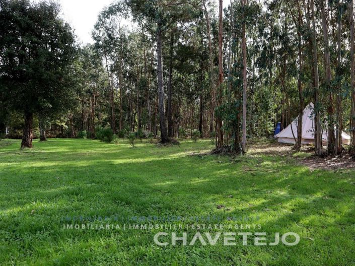Image No.51-Maison de 5 chambres à vendre à Tabua