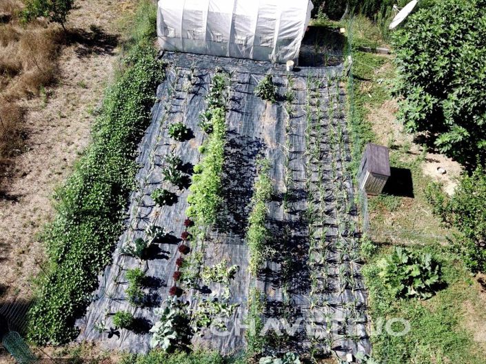 Image No.77-Maison de 5 chambres à vendre à Tabua