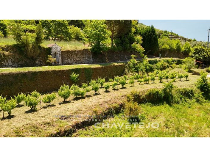 Image No.67-6 Bed Farmhouse for sale