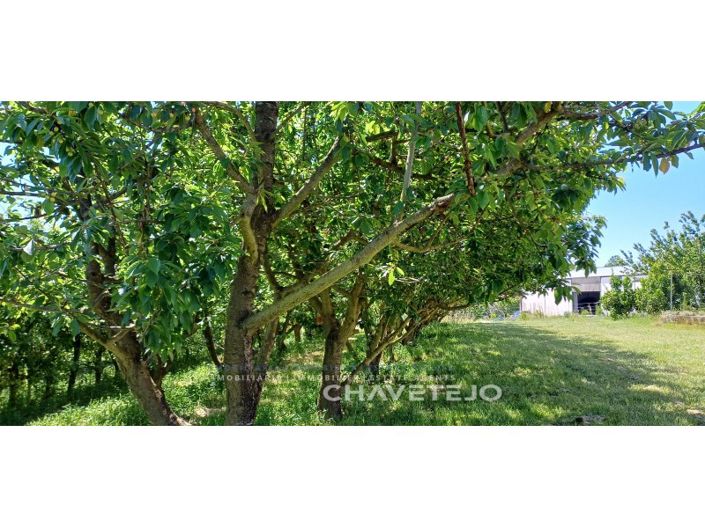 Image No.42-Ferme de 6 chambres à vendre à Ferreira do Zêzere
