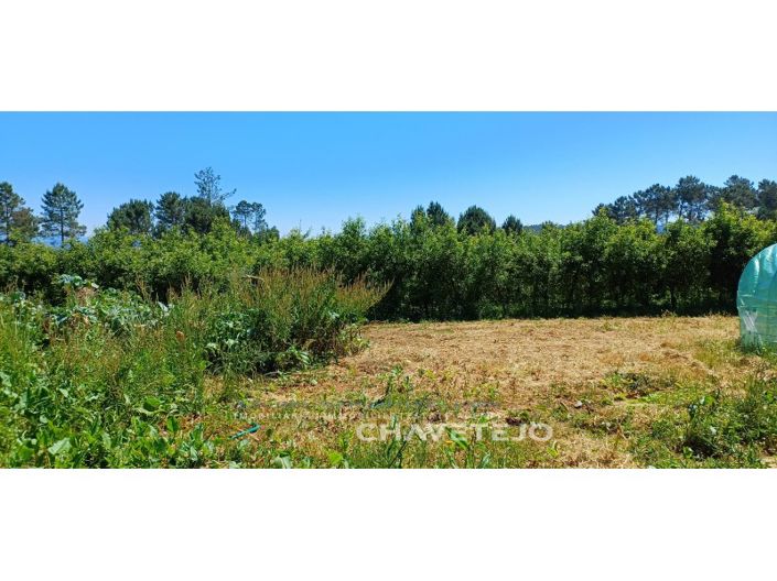 Image No.58-Ferme de 6 chambres à vendre à Ferreira do Zêzere