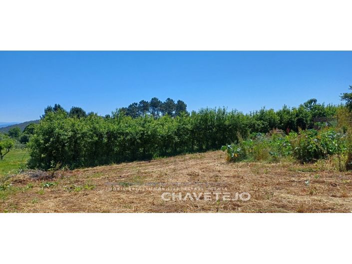 Image No.60-Ferme de 6 chambres à vendre à Ferreira do Zêzere