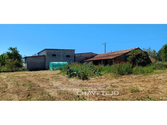 Image No.61-Ferme de 6 chambres à vendre à Ferreira do Zêzere