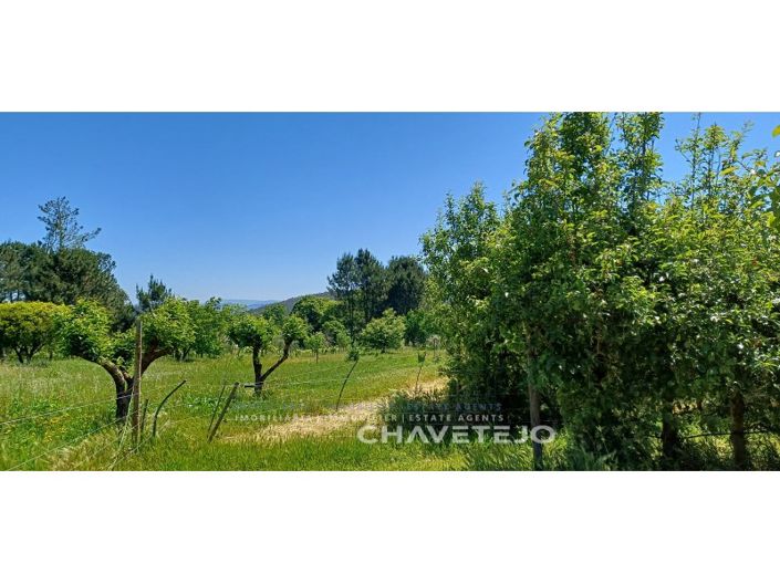 Image No.62-Ferme de 6 chambres à vendre à Ferreira do Zêzere