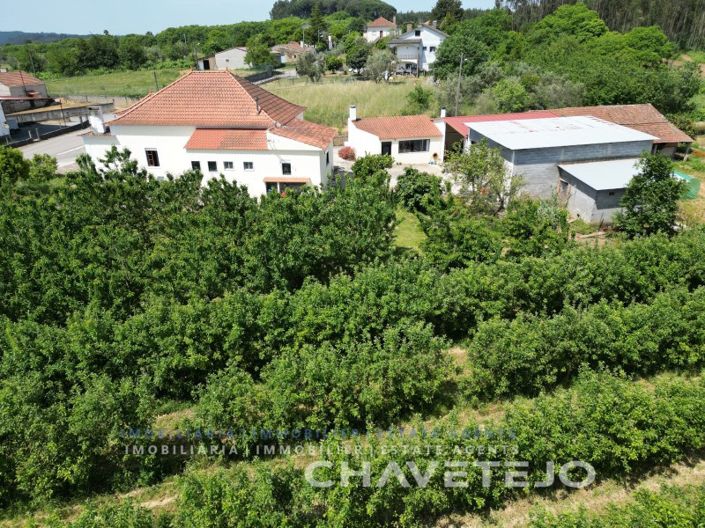Image No.76-Ferme de 6 chambres à vendre à Ferreira do Zêzere