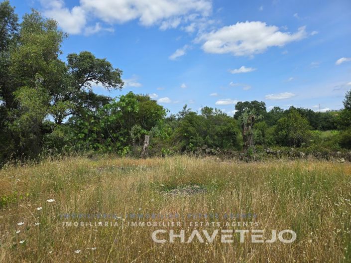 Image No.19-2 Bed House for sale