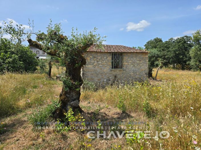 Image No.25-2 Bed House for sale