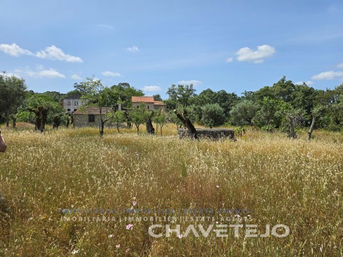 Image No.26-2 Bed House for sale