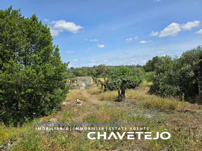 Image No.34-2 Bed House for sale