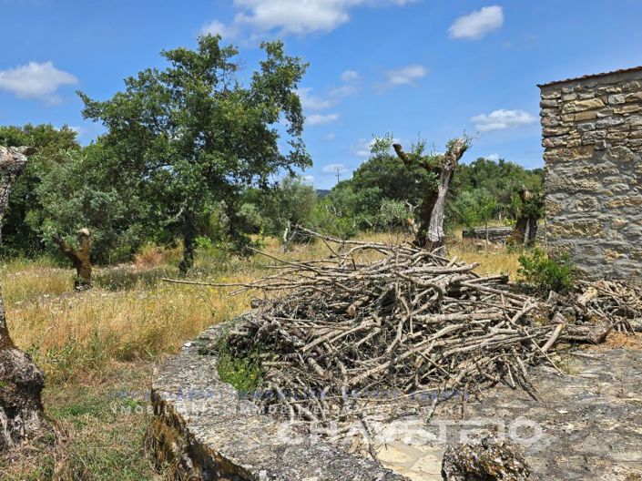 Image No.8-2 Bed House for sale