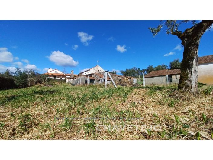 Image No.24-3 Bed House for sale