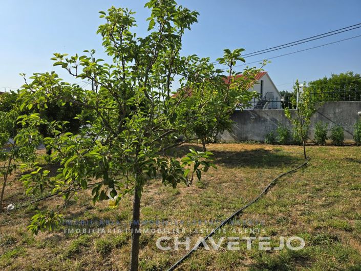 Image No.99-3 Bed House for sale