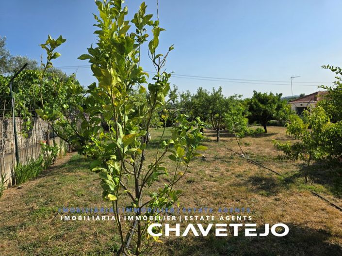 Image No.100-3 Bed House for sale