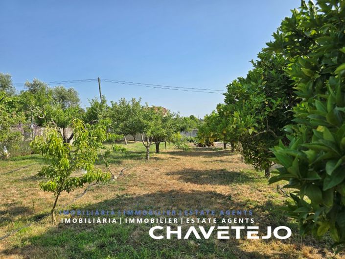 Image No.102-3 Bed House for sale