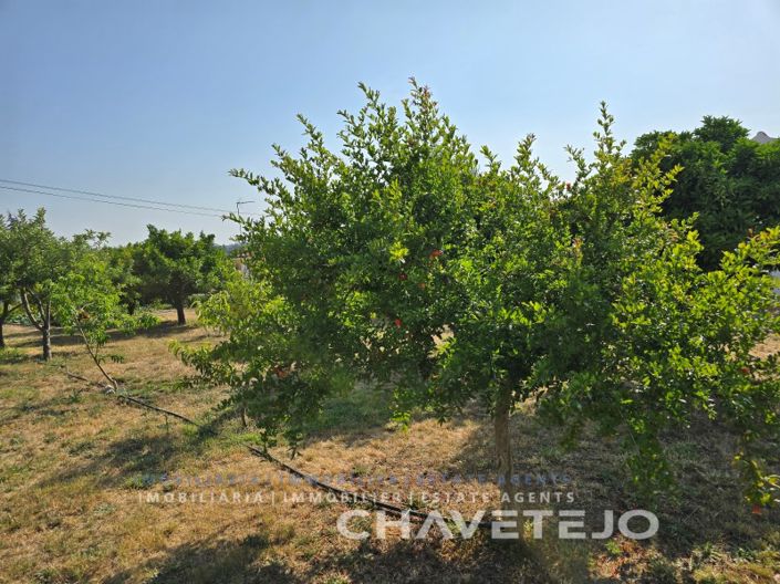 Image No.101-3 Bed House for sale