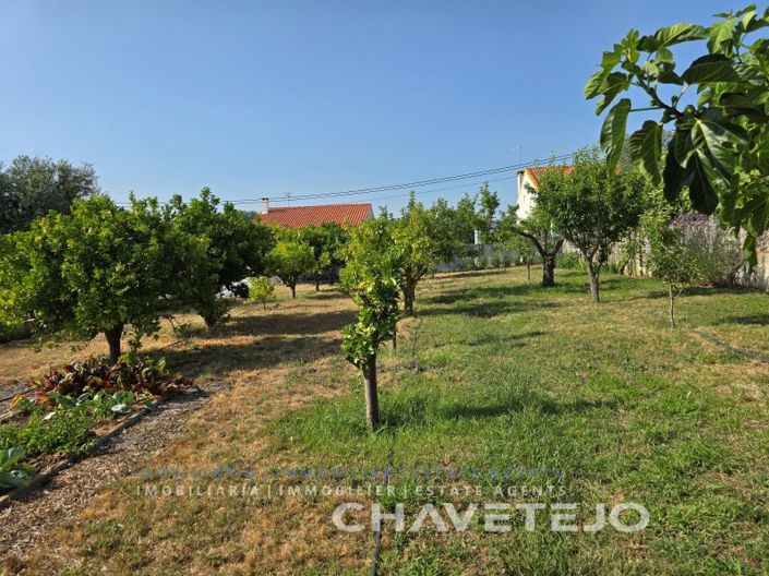 Image No.95-3 Bed House for sale