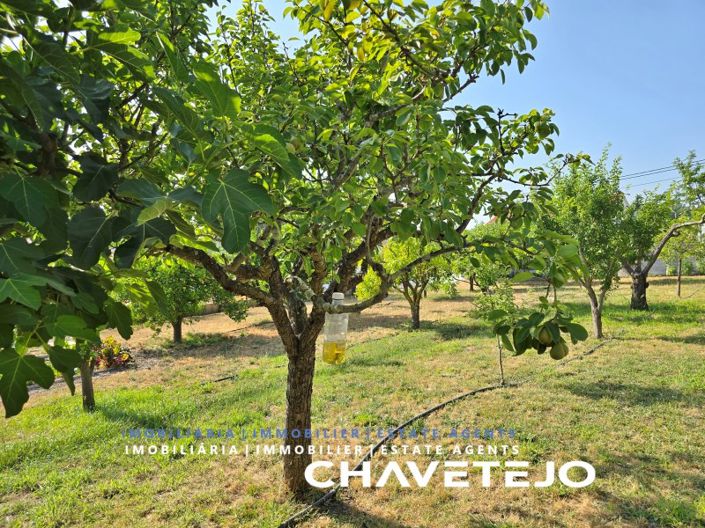 Image No.97-3 Bed House for sale