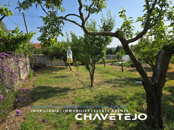 Image No.98-3 Bed House for sale