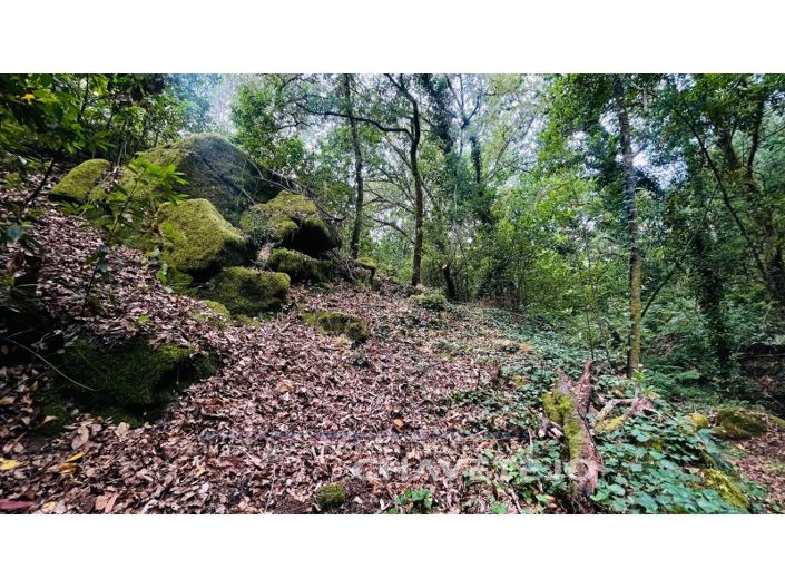 Image No.12-Farmhouse for sale