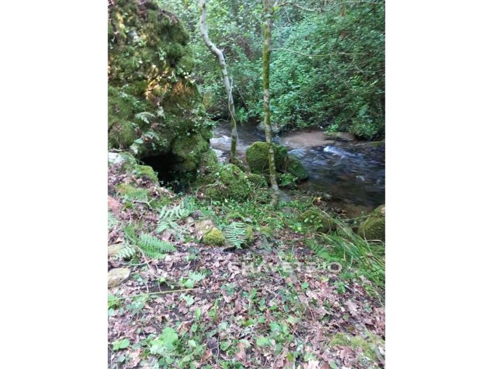 Image No.17-Farmhouse for sale