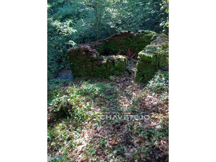 Image No.18-Farmhouse for sale