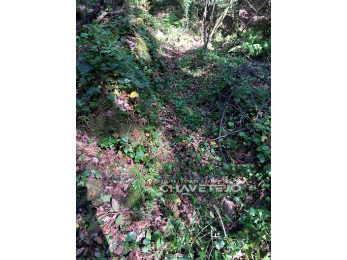 Image No.22-Farmhouse for sale