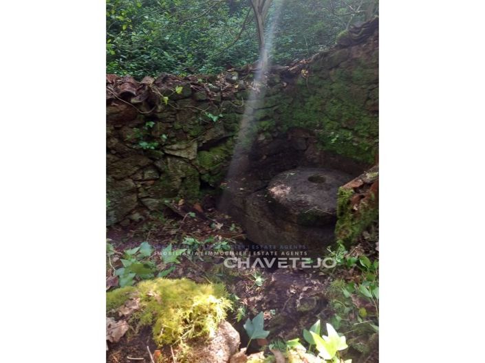 Image No.24-Farmhouse for sale