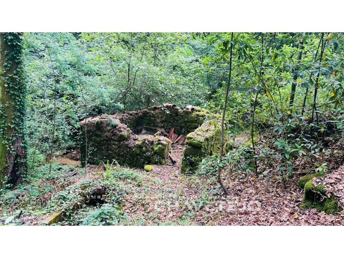 Image No.3-Farmhouse for sale