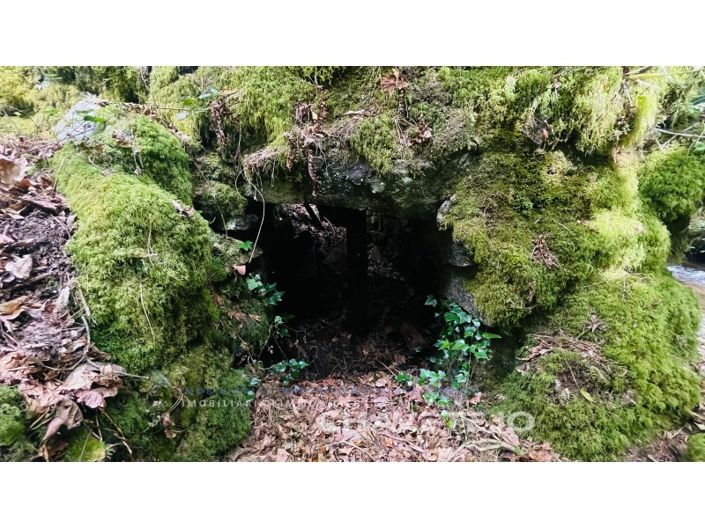 Image No.4-Farmhouse for sale