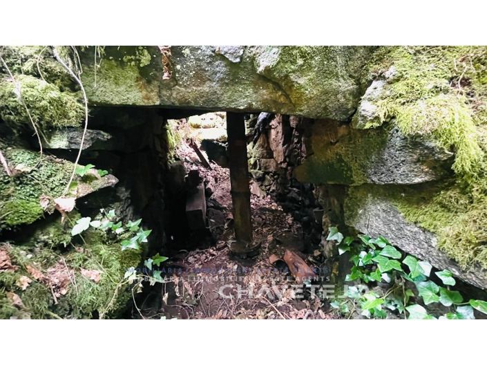 Image No.5-Farmhouse for sale