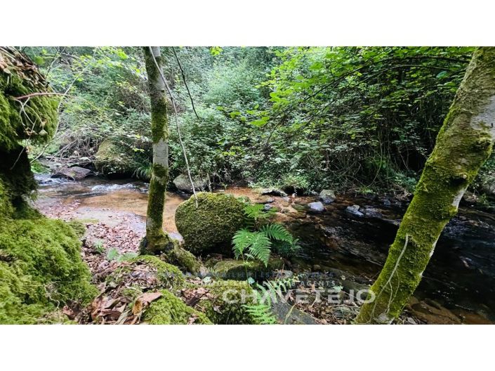 Image No.6-Farmhouse for sale