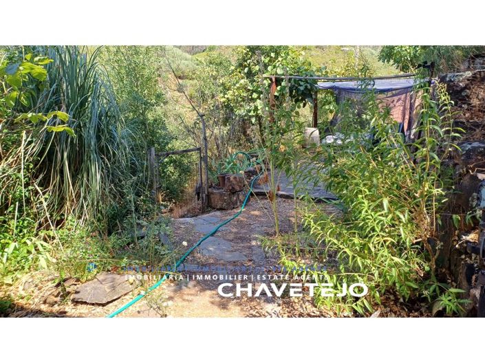 Image No.11-Ferme de 5 chambres à vendre à Figueiró dos Vinhos