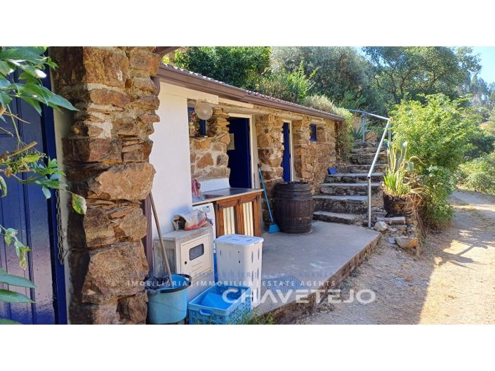 Image No.28-Ferme de 5 chambres à vendre à Figueiró dos Vinhos