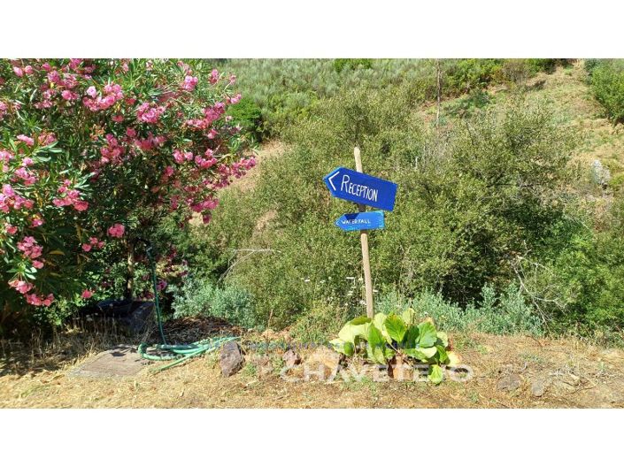 Image No.40-Ferme de 5 chambres à vendre à Figueiró dos Vinhos