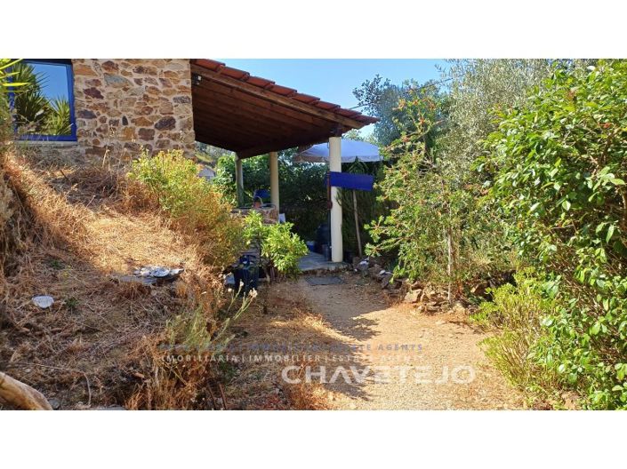 Image No.41-Ferme de 5 chambres à vendre à Figueiró dos Vinhos