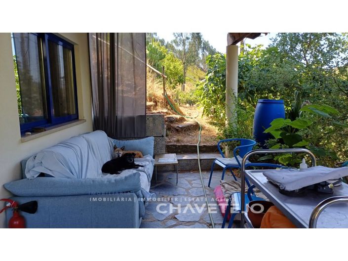 Image No.46-Ferme de 5 chambres à vendre à Figueiró dos Vinhos