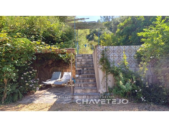 Image No.53-Ferme de 5 chambres à vendre à Figueiró dos Vinhos